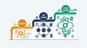 HACCP, ISO 22000 ve FSSC 22000 gıda güvenliği standartlarının karşılaştırma matrisini ve seviyelerini temsil eden vektör illüstrasyon.