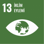 ISO 14001 ve Sürdürülebilirlik: Çevresel Sorumluluğu Kurumsal Avantaja Çevirme Rehberi