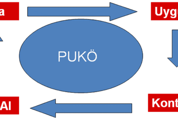 puko-dongusu